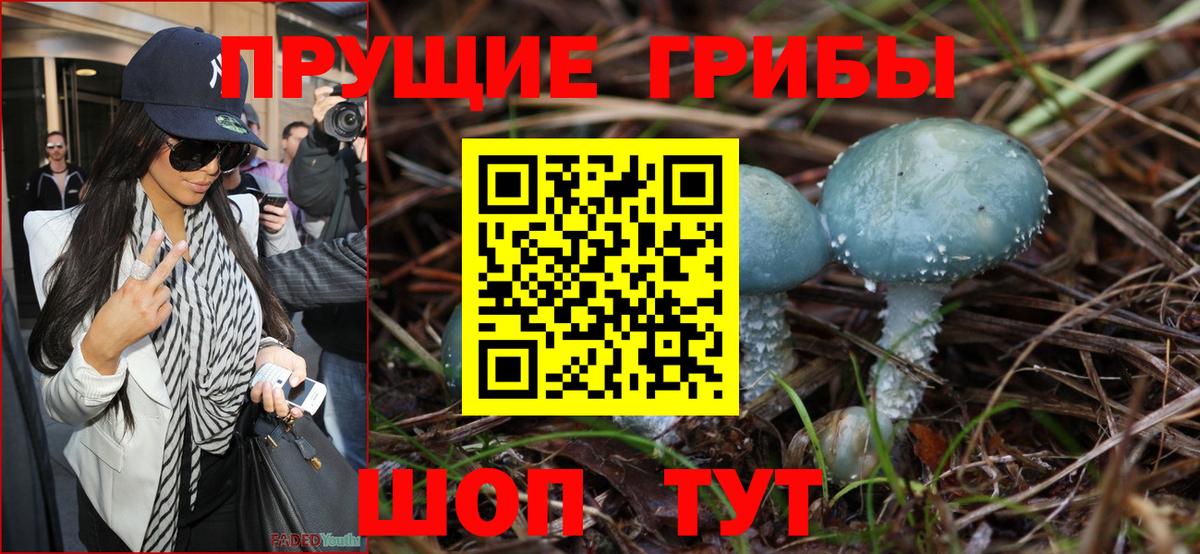 Псилоцибиновые грибы Magic Shrooms Балабаново