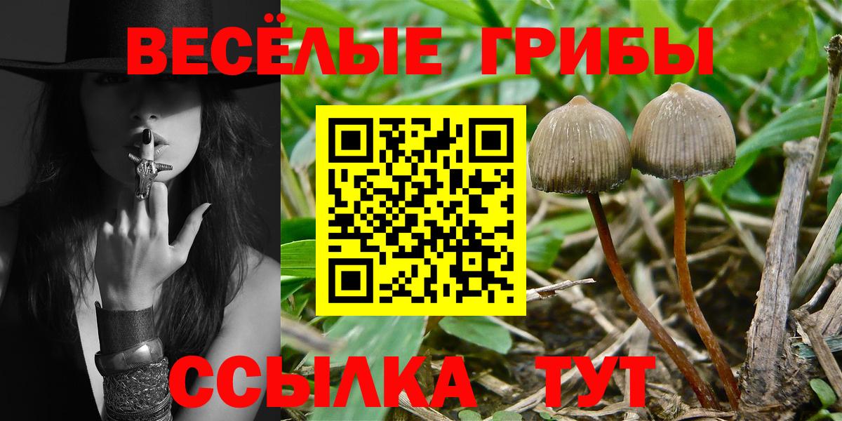 хочу   Галлюциногенные грибы Cubensis  Вход с VPN  Псилоцибиновые грибы Psilocybe  Балабаново 